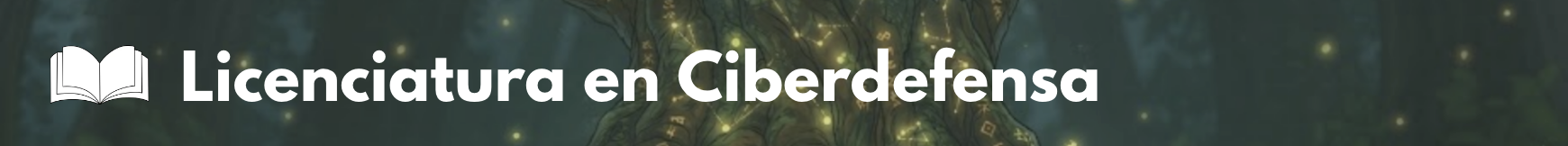 Licenciatura en Ciberdefensa